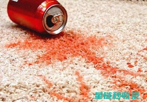 地毯污渍快速清除：专业清洁人员的秘密武器 (地毯污渍快速去除妙招)