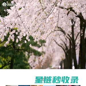 樱花智能锁-智能指纹锁十大品牌_指纹锁家用_指纹锁防盗-樱花锁业
